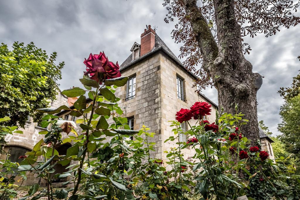 Hotel Chateau De Lacan Бриве-ла-Гаилларде Экстерьер фото